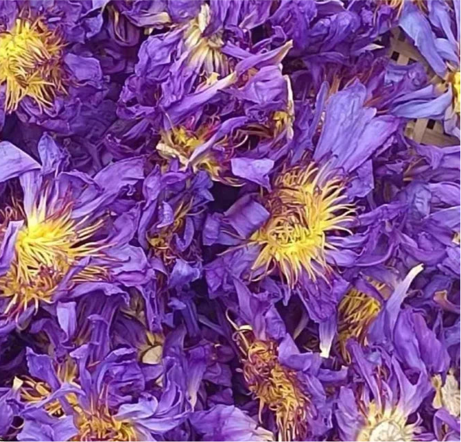 Blue lotus tea
